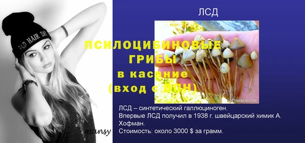 мет Приозерск