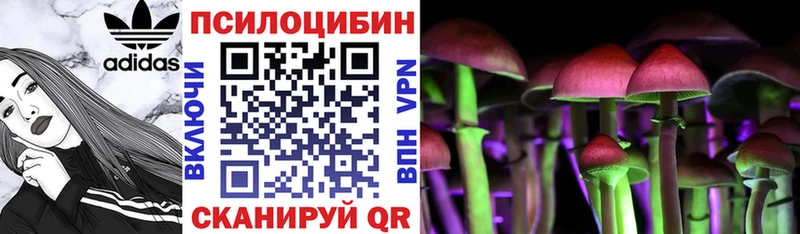 Галлюциногенные грибы мицелий  Зеленокумск 