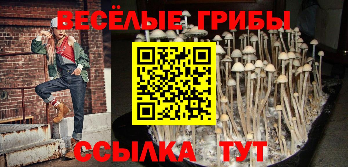 наркошоп  Галлюциногенные грибы Psilocybine cubensis  Зеленокумск  Вход с VPN  Галлюциногенные грибы Psilocybine cubensis 